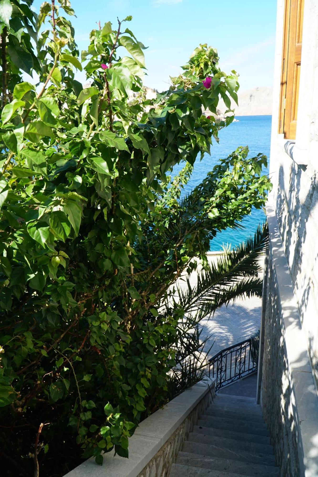 Petalo House Daire Simi Dış mekan fotoğraf